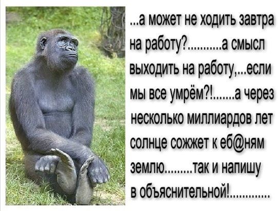...а может не ходить завтра на работу?........а смысл выходить на работу,...если мы все умрём?!......а через несколько миллиардов лет солнце сожжет к еб@ным землею.........так и напишу в объяснительной!