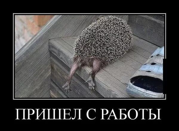 ПРИШЕЛ С РАБОТЫ