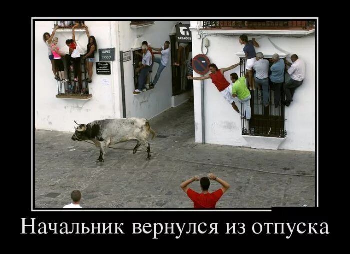 Начальник вернулся из отпуска