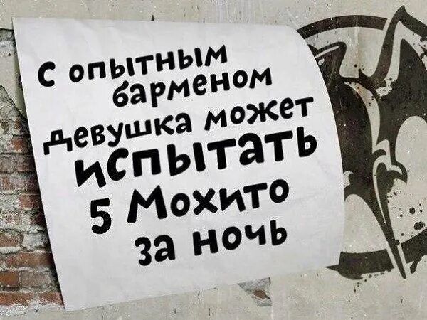 С опытным барменом Девушка может испытать 5 Мохито за ночь