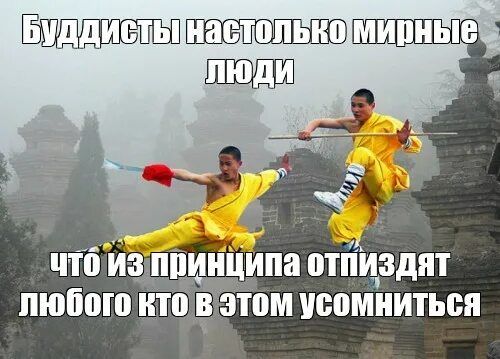 Буддисты настолько мирные люди что из принципа отпиздят любого кто в этом усомнится
