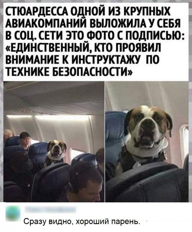 Стюардесса одной из крупных авиакомпаний выложила у себя в соцсетях это фото с подписью: «Единственный, кто проявил внимание к инструктажу по технике безопасности»