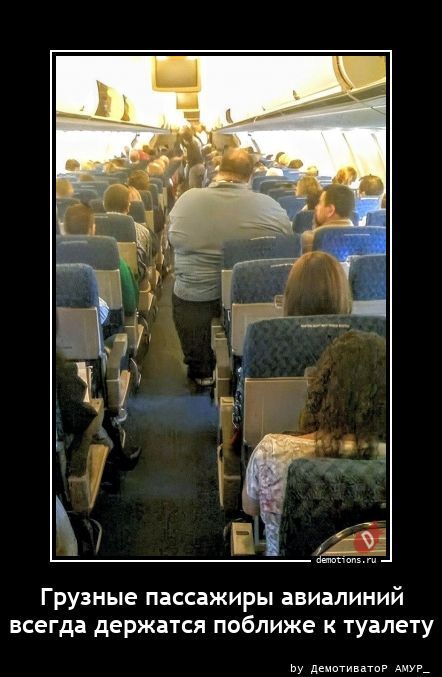 Грузные пассажиры авиалиний всегда держатся поближе к туалету