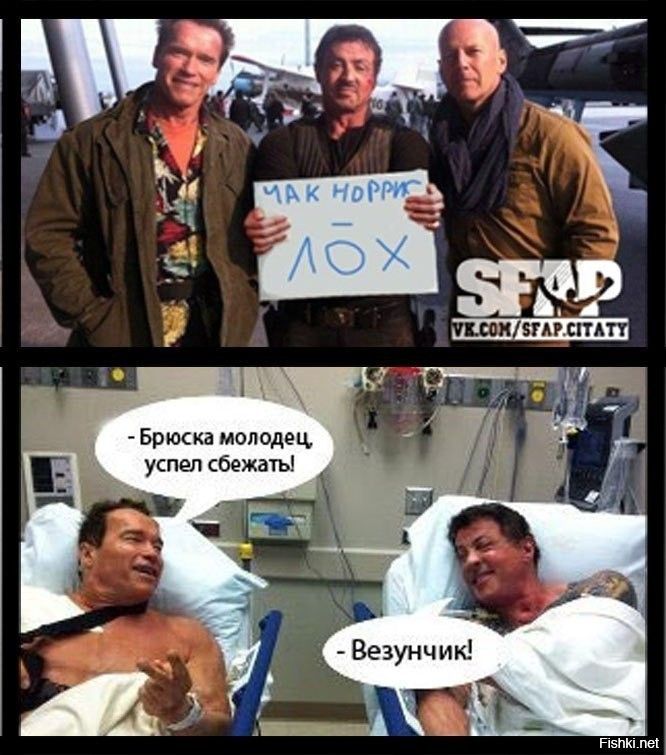 ЧАК НОРРИС
лох
- Брюска молодец, успел сбежать!
- Везунчик!