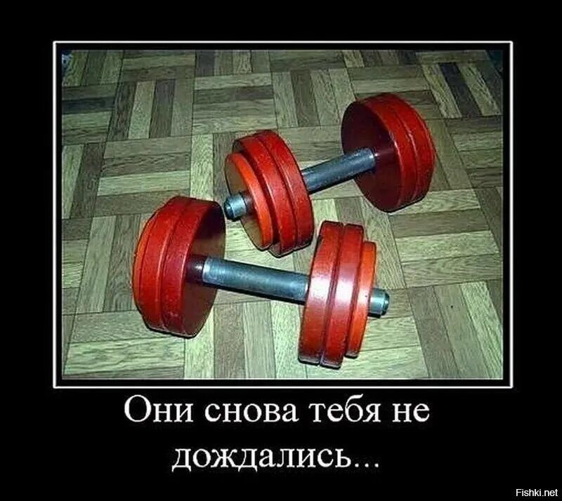 Они снова тебя не дождались...