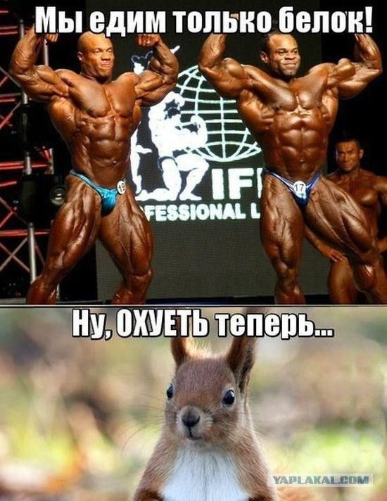 Мы едим только белок! Ну, ОХВЕТь теперь...