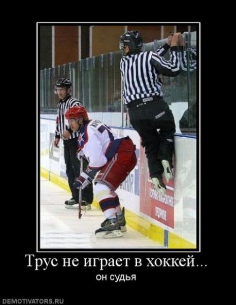 Трус не играет в хоккей... он судья