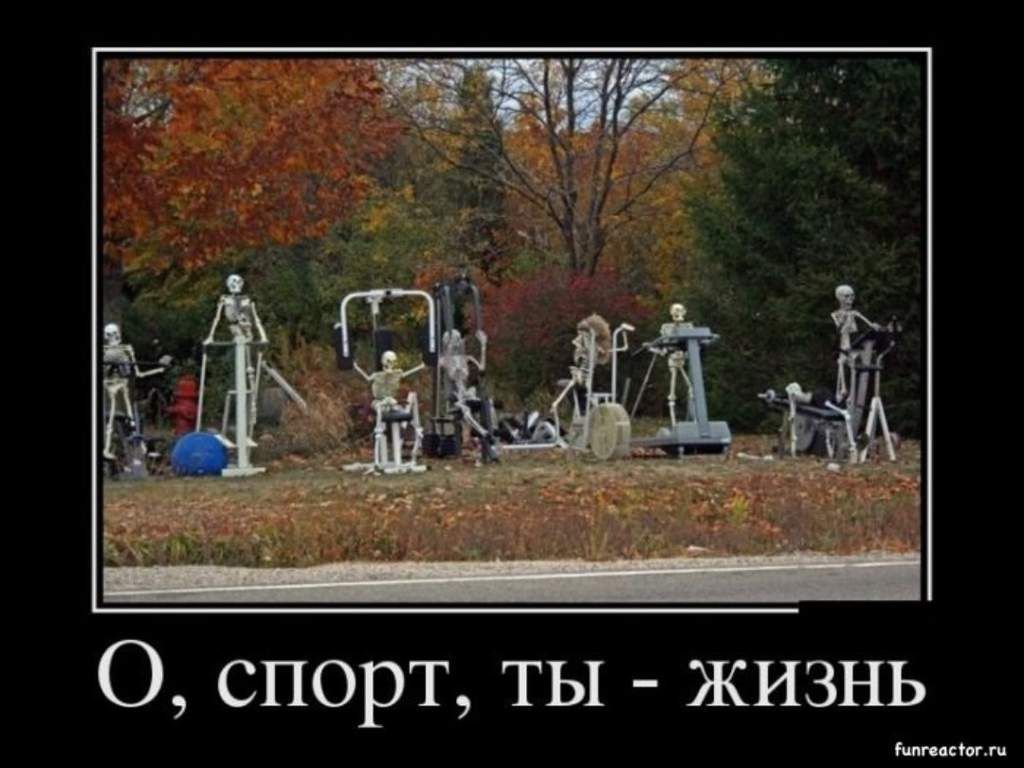 О, спорт, ты - жизнь