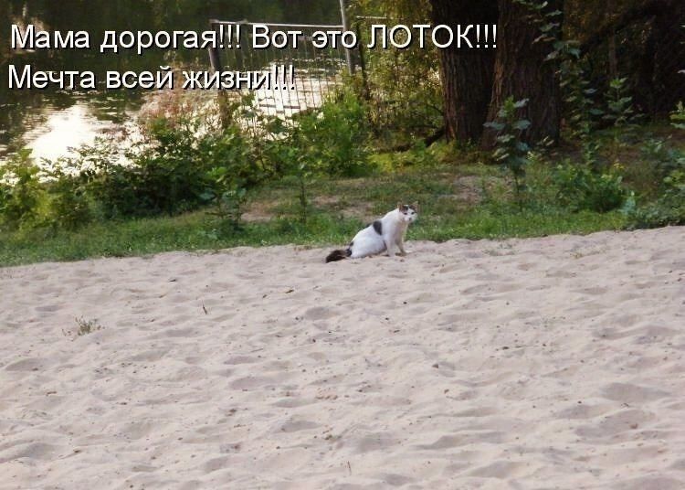 Мама дорогая!!! Вот это ЛОТОК!!! Мечта всей жизни!!!