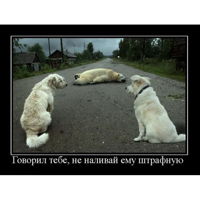 Говорил тебе, не наливай ему штрафную