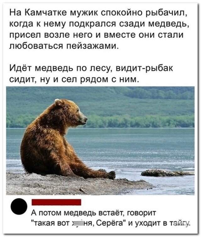 На Камчатке мужик спокойно рыбачил, когда к нему подкрался сзади медведь, присел возле него и вместе они стали любоваться пейзажами. Идёт медведь по лесу, видит рыбач сидит, ну и сел рядом с ним. А потом медведь встаёт, говорит: 