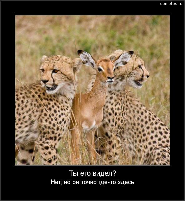 Ты его видел? Нет, но он точно где-то здесь