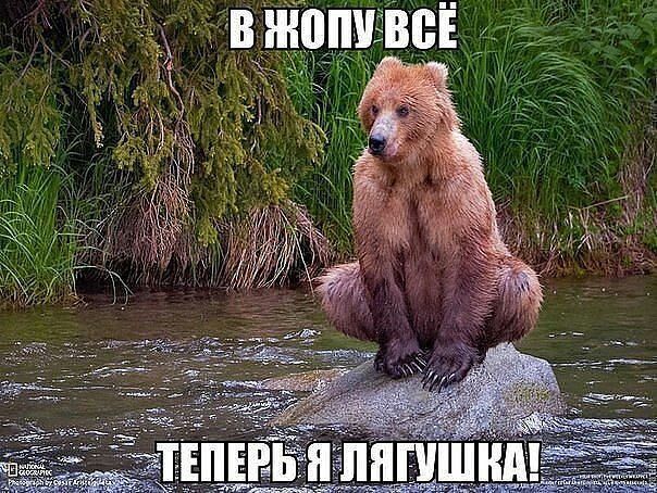 В ЖОПУ ВСЁ\nТЕПЕРЬ Я ЛЯГУШКА!