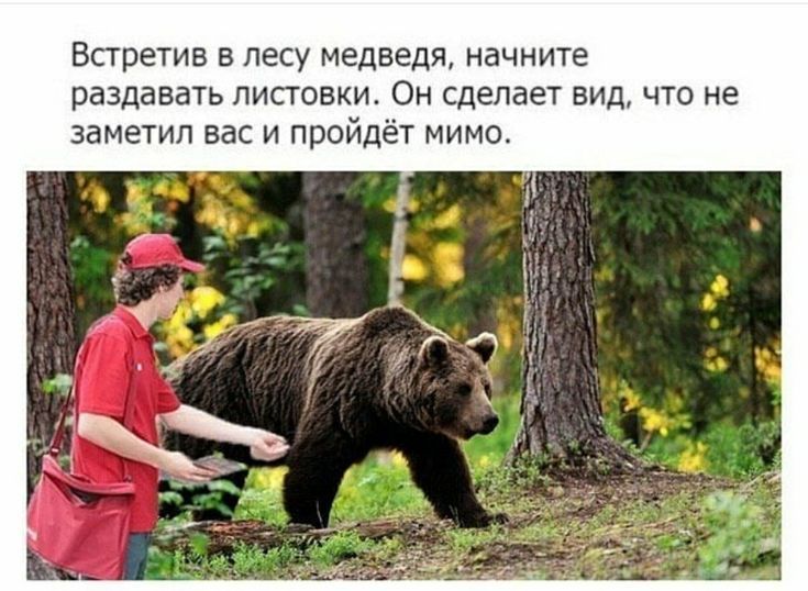 Встретив в лесу медведя, начните раздавать листовки. Он сделает вид, что не заметил вас и пройдёт мимо.