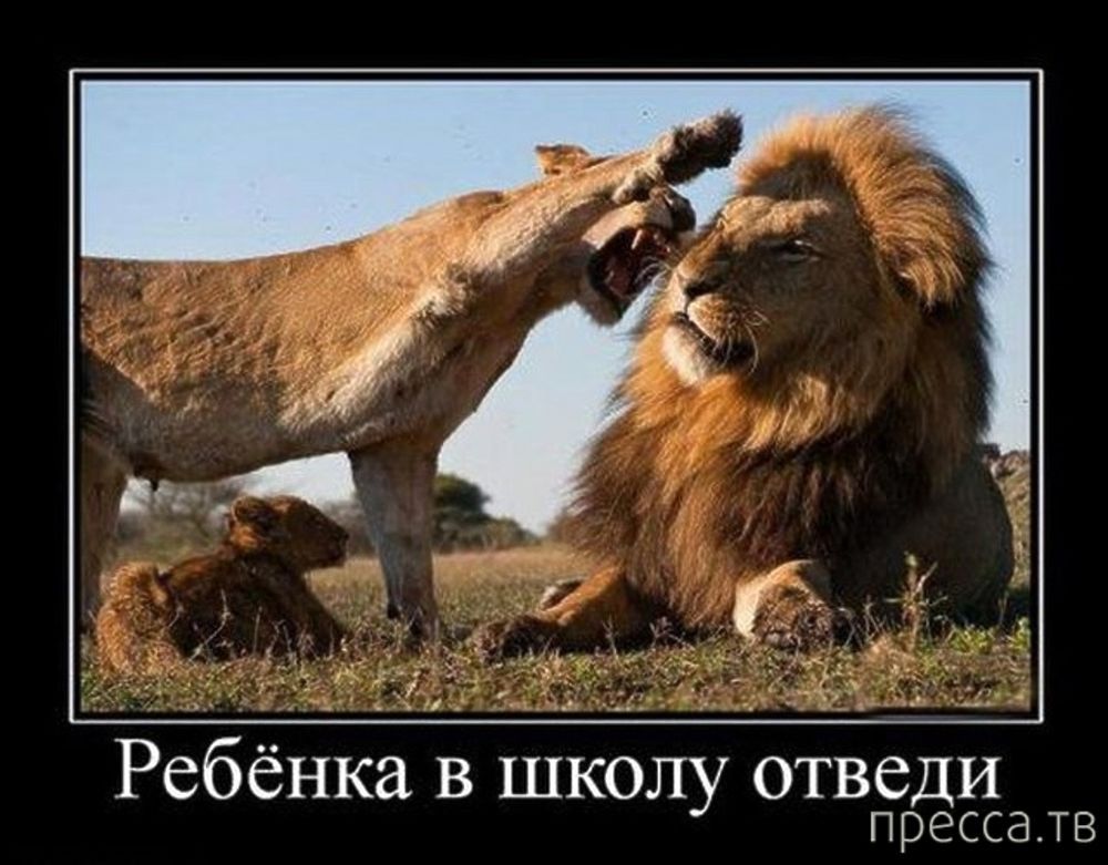 Ребёнка в школу отведи