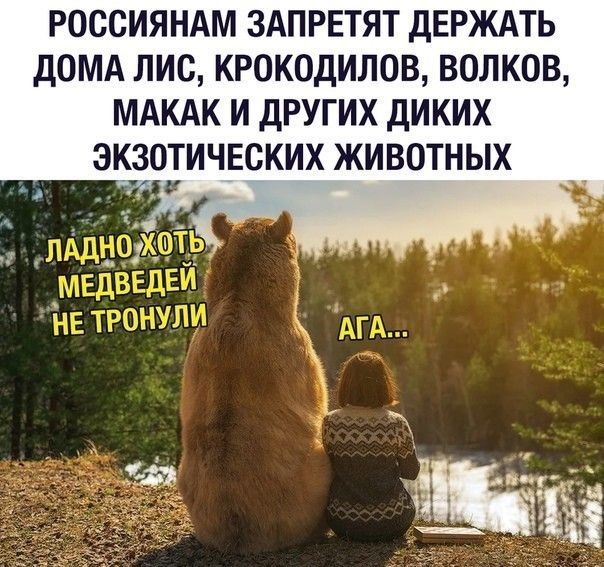 РОССИЯНАМ ЗАПРЕТЯТ ДЕРЖАТЬ ДОМА ЛИС, КРОКОДИЛОВ, ВОЛКОВ, МАКАК И ДРУГИХ ДИКИХ ЭКЗОТИЧЕСКИХ ЖИВОТНЫХ\nЛАДНО ХОТЬ МЕДВЕДЕЙ НЕ ТРОНУЛИ\nАГА...