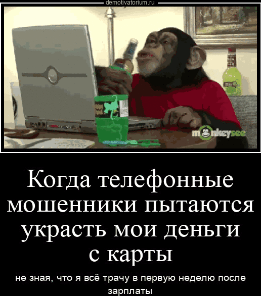 Когда телефонные мошенники пытаются украсть мои деньги с карты
не зная, что я всё трачу в первую неделю после