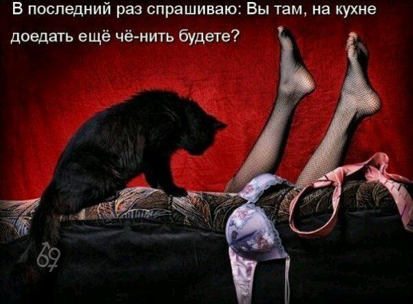 В последний раз спрашиваю: Вы там, на кухне доедать ещё чё-нить будете?