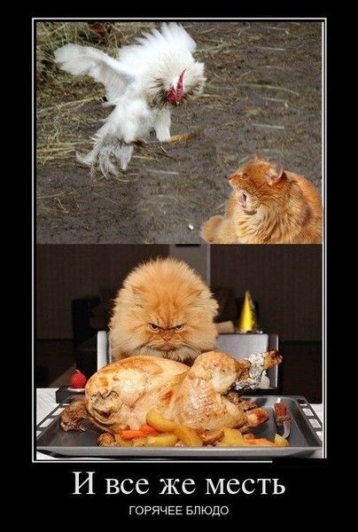 И все же место
ГОРЯЧЕЕ БЛЮДО