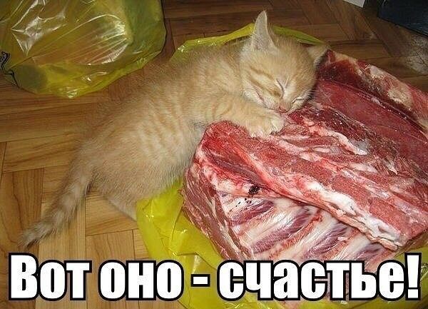 Вот оно - счастье!