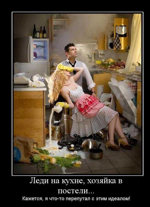 Леди на кухне, хозяйка в постели... Кажется, я что-то перепутал с этим идеалом!