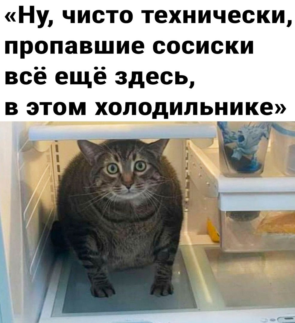 «Ну, чисто технически, пропавшие сосиски всё ещё здесь, в этом холодильнике»