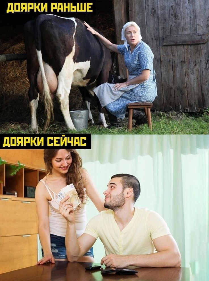 ДОЯРКИ РАНЬШЕ
ДОЯРКИ СЕЙЧАС