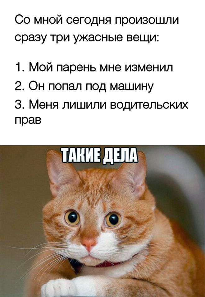 Со мной сегодня произошли сразу три ужасные вещи:
1. Мой парень мне изменил
2. Он попал под машину
3. Меня лишили водительских прав