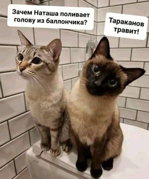 Зачем Наташа поливает голову из баллончика? Тараканов травит!