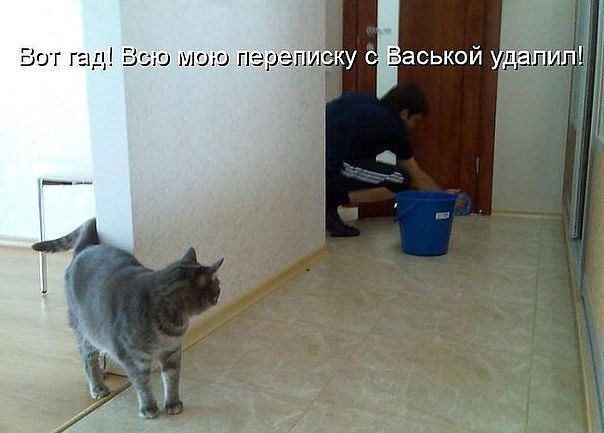 Вот гад! Всю мою переписку с Васькой удалил!
