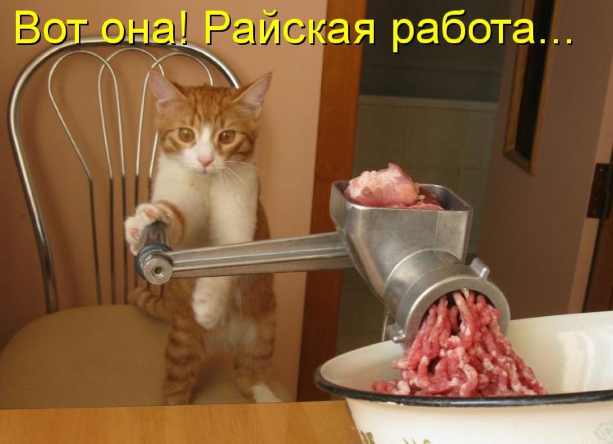 Вот она! Райская работа...