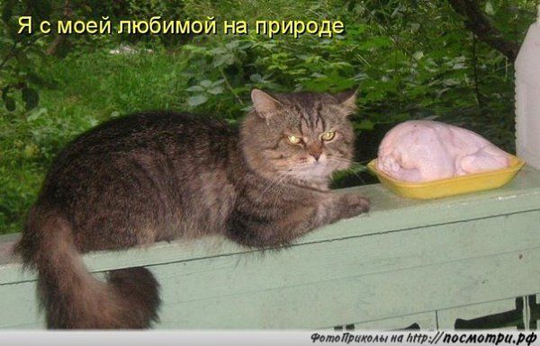 Я с моей любимой на природе