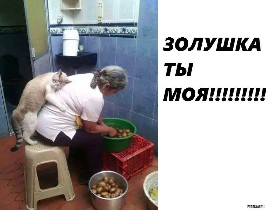 ЗОЛУШКА ТЫ МОЯ!!!!!!!!