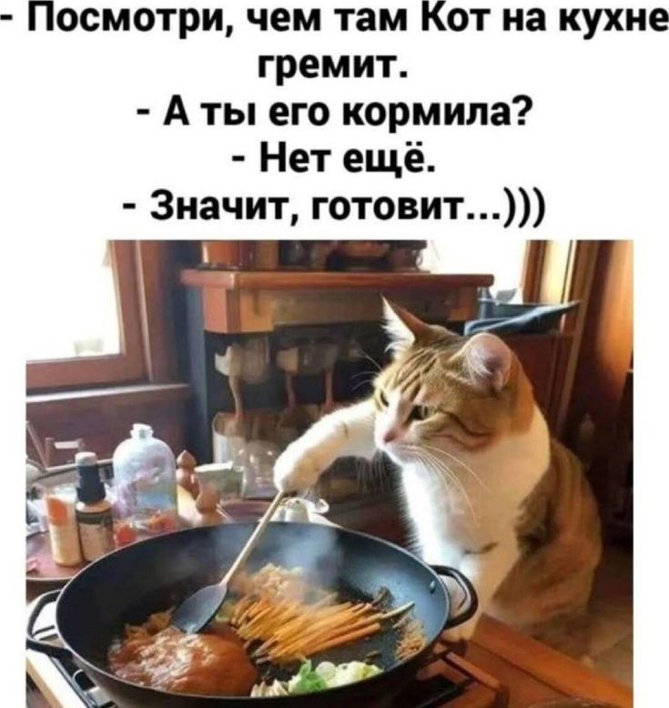 - Посмотри, чем там Кот на кухне гремит. - А ты его кормила? - Нет ещё. - Значит, готовит...)))