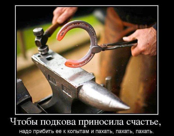 Чтобы подкова приносила счастье, надо прибить ее к копытам и пахать, пахать, пахать.