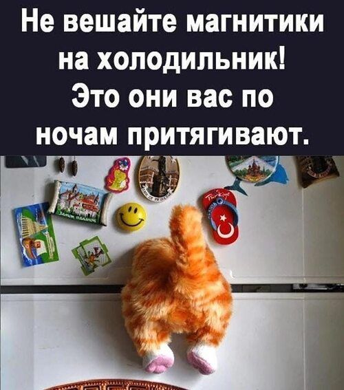 Не вешайте магнитики на холодильник! Это они вас по ночам притягивают.