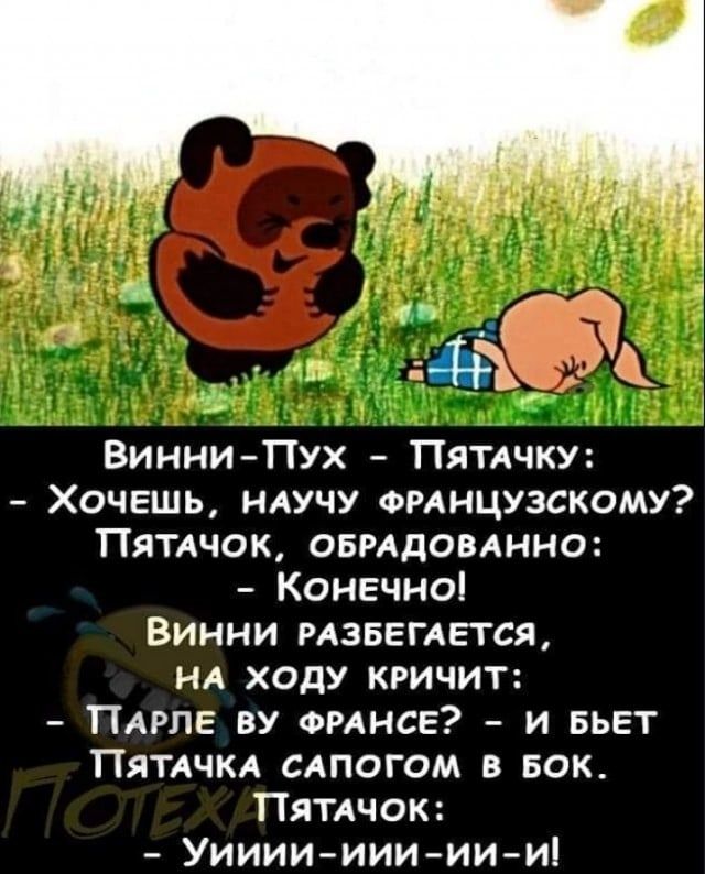 Винни-Пух – Пятачку: - Хочешь, научу французскому? Пятачок, обрадованно: - Конечно! Винни разбегается, на ходу кричит: - Парле ви франс? - и бьёт Пятачка сапогом в бок. Пятачок: - Уииии-иии-ии!