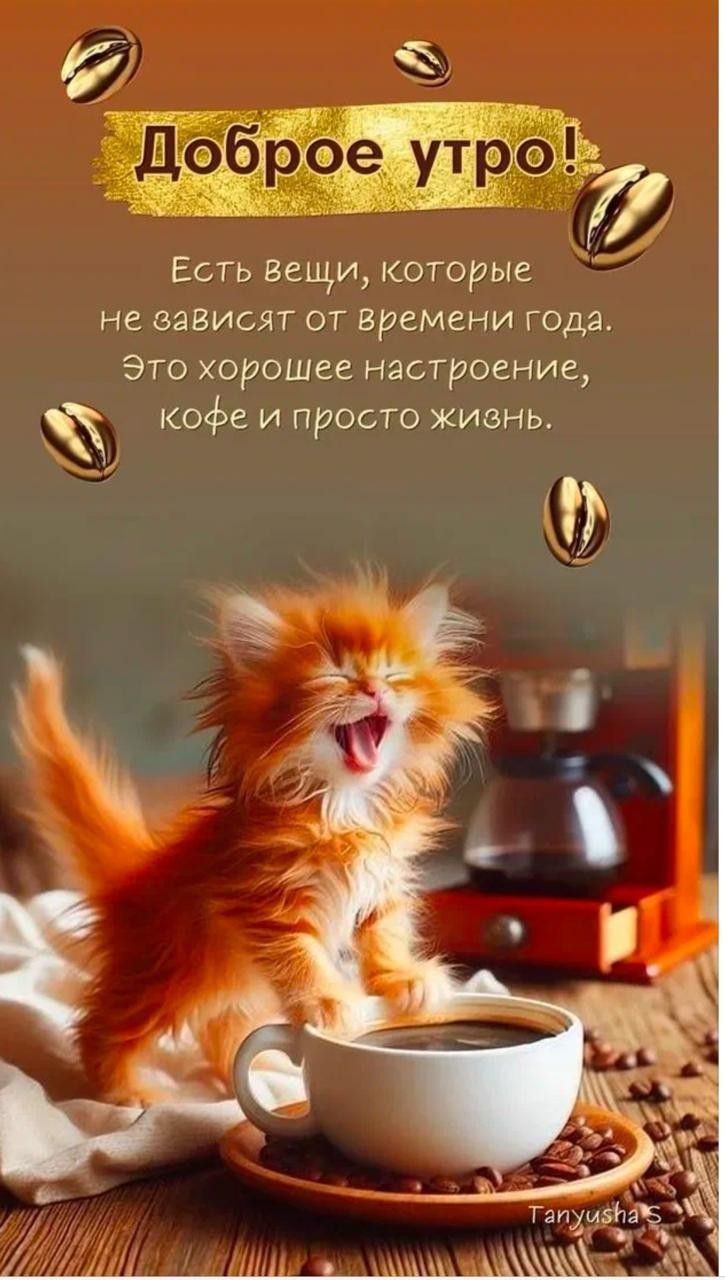 Доброе утро! Есть вещи, которые не зависят от времени года. Это хорошее настроение, кофе и просто жизнь.