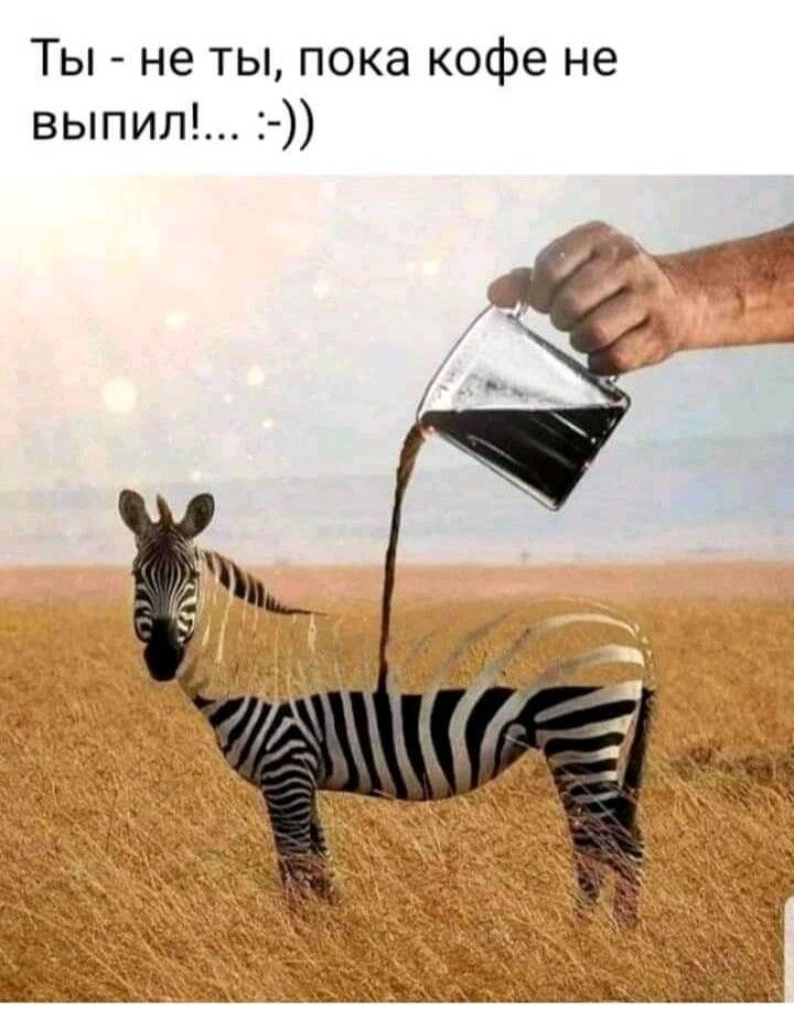 Ты - не ты, пока кофе не выпил!.. :-))