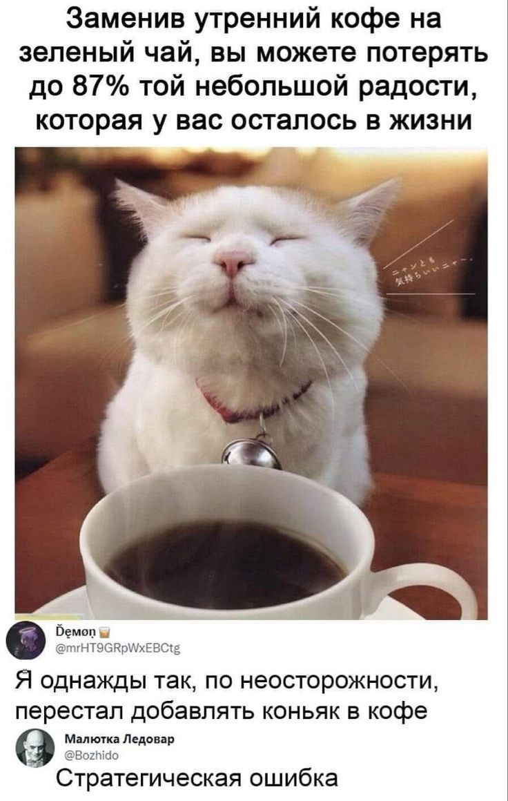 Заменив утренний кофе на зеленый чай, вы можете потерять до 87% той небольшой радости, которая у вас осталась в жизни\n\nЯ однажды так, по неосторожности, перестал добавлять коньяк в кофе\nСтратегическая ошибка
