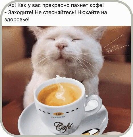 Ах! Как у вас прекрасно пахнет кофе! - Заходите! Не стесняйтесь! Нюхайте на здоровье!