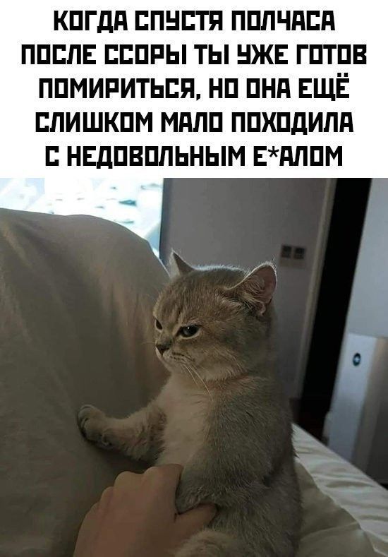 КОГДА СПУСТЯ ПОЛЧАСА ПОСЛЕ СССОРЫ ТЫ УЖЕ ГОТОВ ПОМИРИТЬСЯ, НО ОНА ЕЩЁ СЛИШКОМ МАЛО ПОХОДИЛА С НЕДОВОЛЬНЫМ Е*АЛОМ