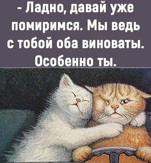 - Ладно, давай уже помиримся. Мы ведь с тобой оба виноваты. Особенно ты.