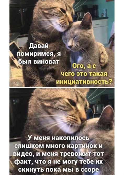 Давай помиримся, я был виноват
Ого, а с чего это такая инициативность?
У меня накопилось слишком много картинок и видео, и меня тревожит тот факт, что я не могу тебе их скинуть пока мы в ссоре