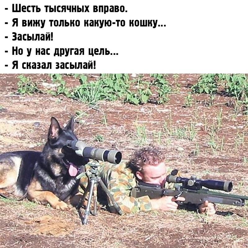 - Шесть тысячных вправо.
- Я вижу только какую-то кошку...
- Засылай!
- Но у нас другая цель...
- Я сказал засылай!