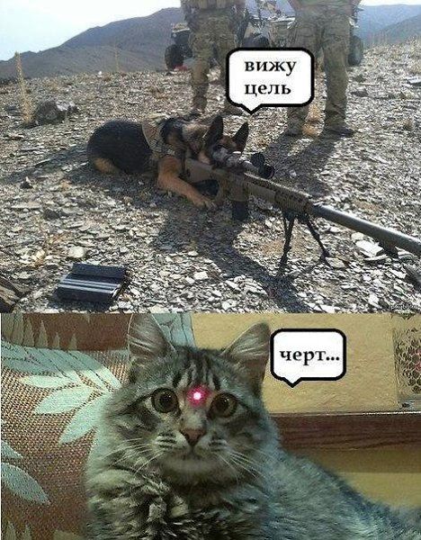 вижу цель
черт...