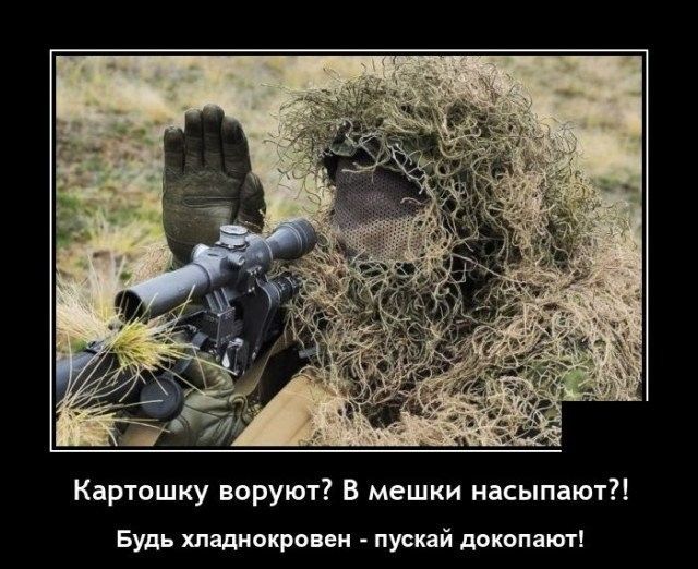 Картошку воруют? В мешки насыпают?!
Будь хладнокровен - пускай докопают!