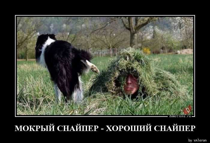 МОКРЫЙ СНАЙПЕР - ХОРОШИЙ СНАЙПЕР