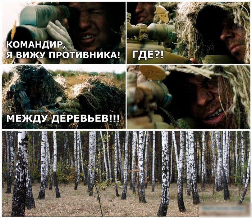 КОМАНДИР, Я ВИЖУ ПРОТИВНИКА! ГДЕ?! МЕЖДУ ДЕРЕВЬЕВ!!!