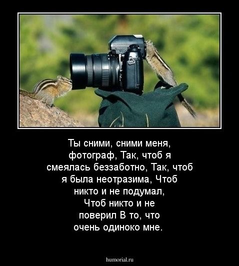 Ты снимни, сними меня, фотограф Так, чтоб я смеялся беззаботно. Так, чтоб я была неотразима, Чтоб никто и не подумал, Чтоб никто и не поверил В то, что очень одиноко мне.